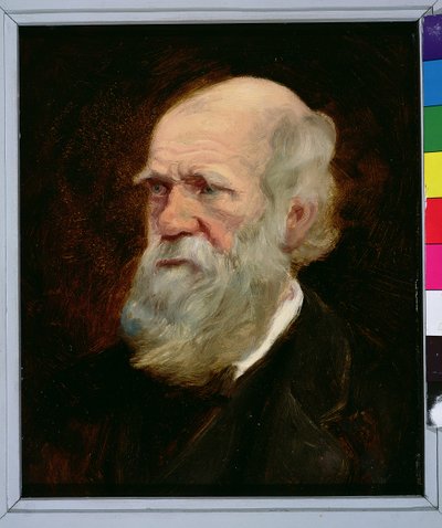 Portrait of Charles Robert Darwin, English Naturalist by English School